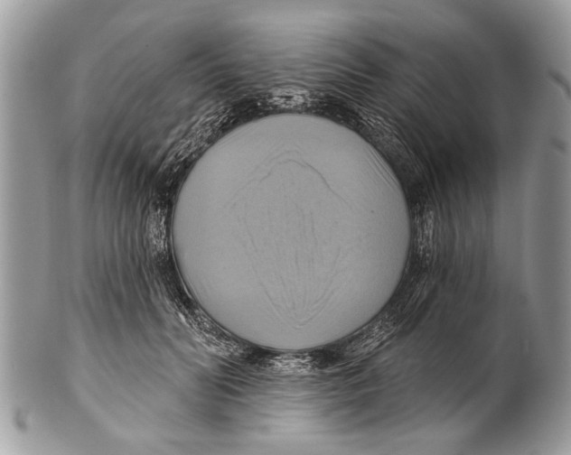 X0000101160606200807251112