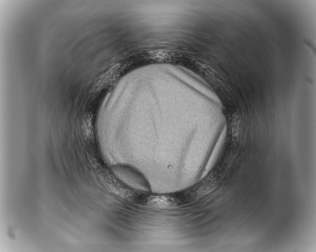 X0000101160611200807251112