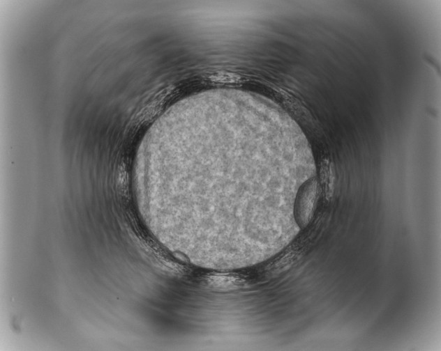 X0000101160614200807251112
