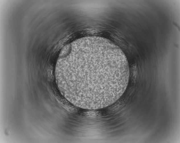 X0000101160615200807251112
