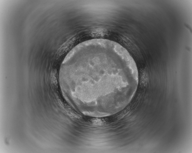 X0000101160616200807251112