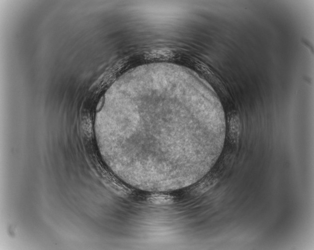 X0000101160617200807251112