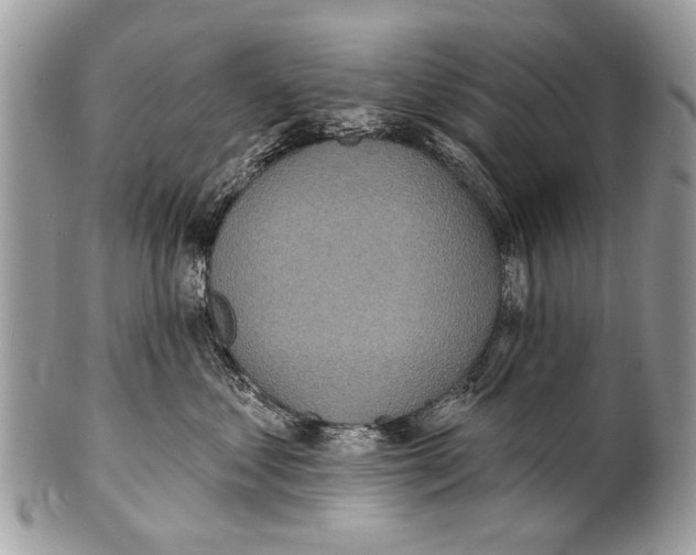 X0000101160621200807251112