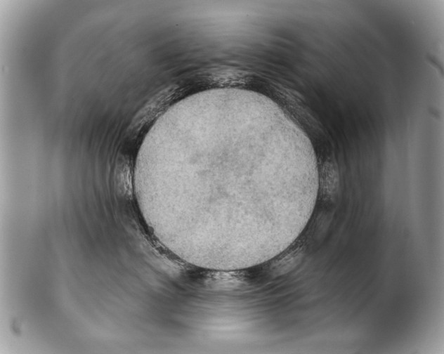 X0000101160622200807251112
