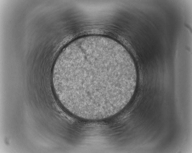 X0000101160625200807251111