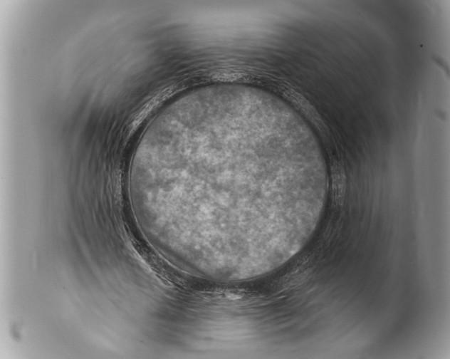 X0000101160626200807251111