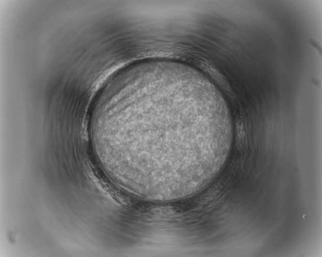 X0000101160628200807251111