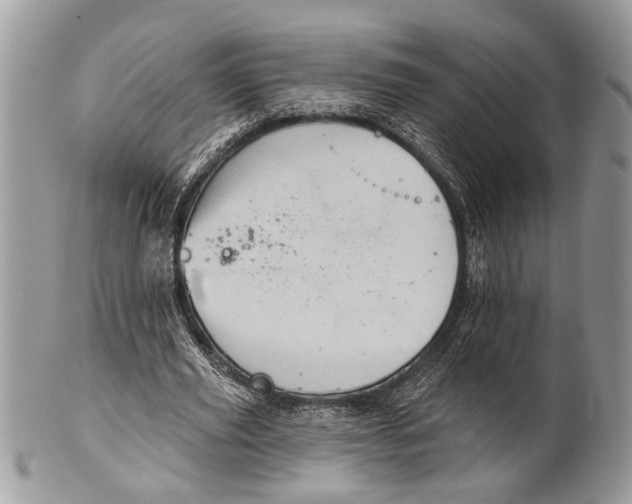 X0000101160629200807251111