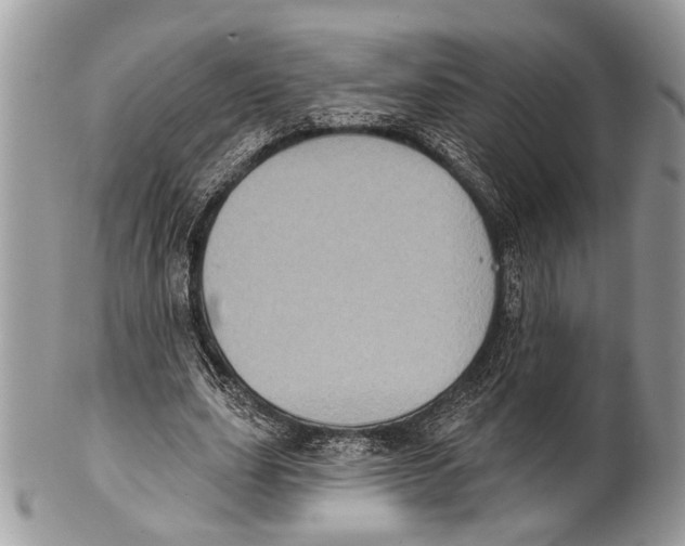 X0000101160631200807251111