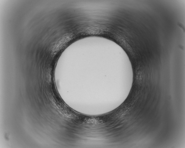 X0000101160635200807251111