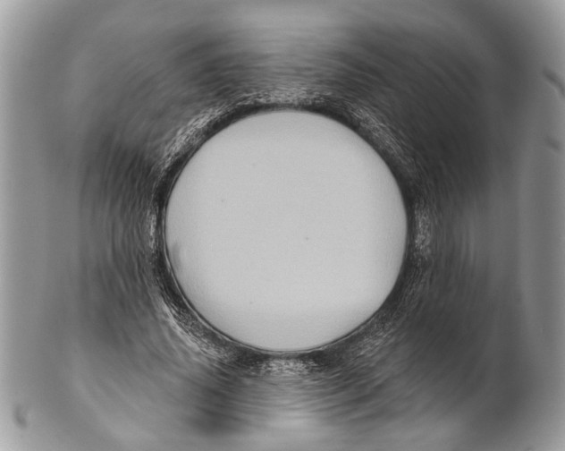 X0000101160636200807251111