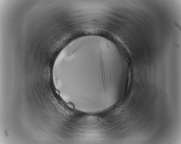 X0000101160637200807251111