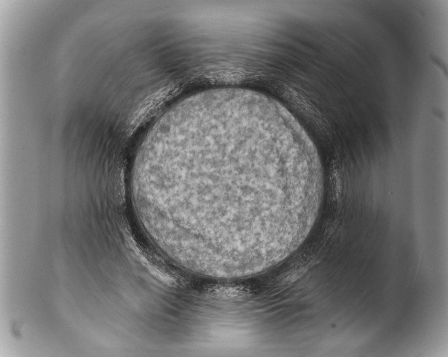 X0000101160638200807251111