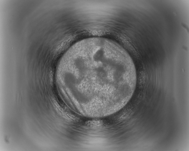 X0000101160639200807251111