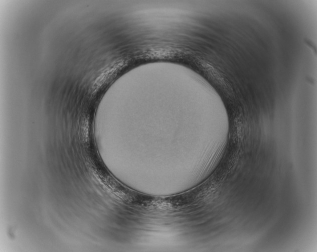 X0000101160640200807251111