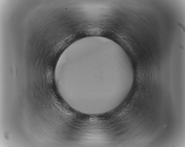 X0000101160641200807251111