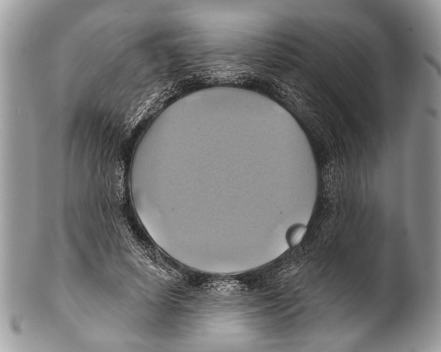 X0000101160642200807251111