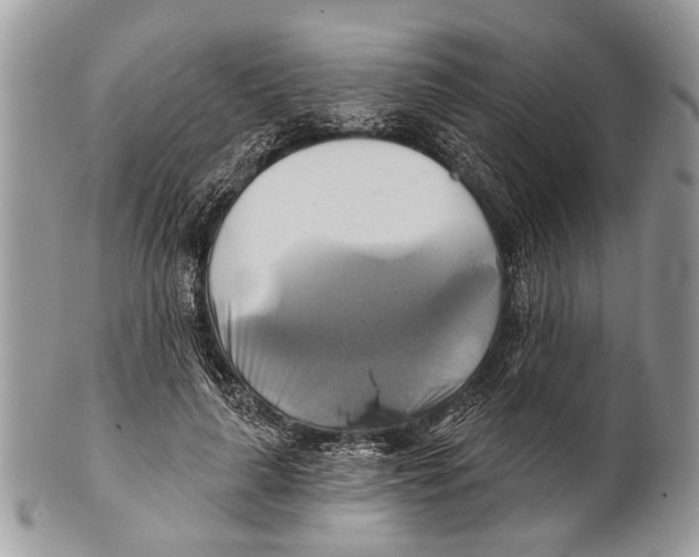 X0000101160643200807251111
