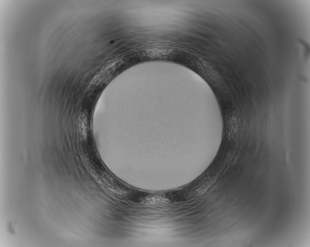 X0000101160644200807251111