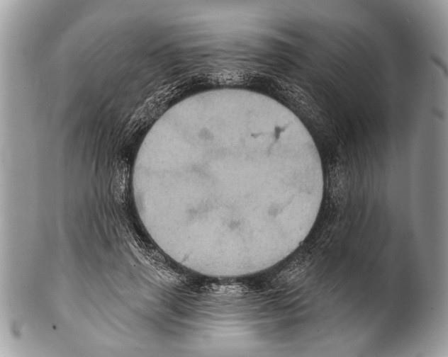 X0000101160645200807251112