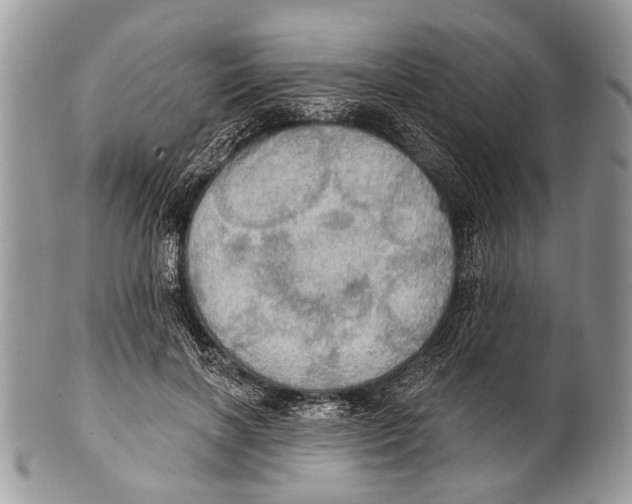 X0000101160646200807251112