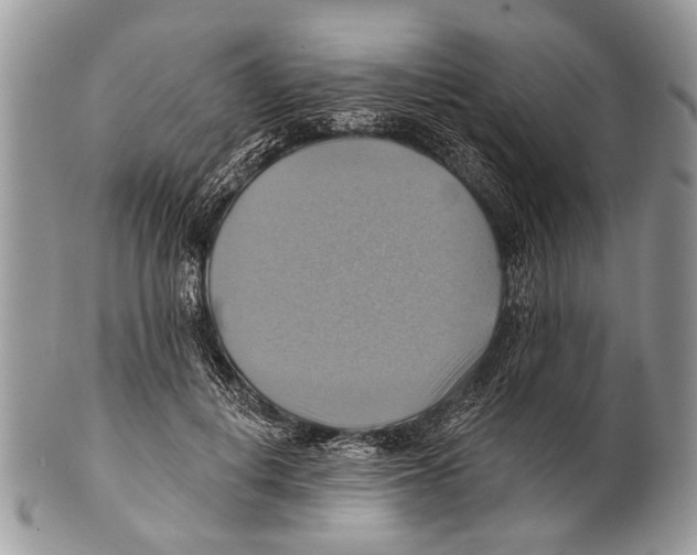 X0000101160648200807251112