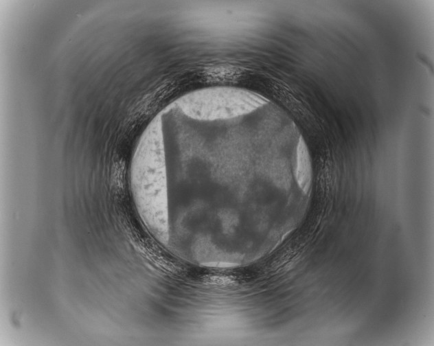 X0000101160649200807251112