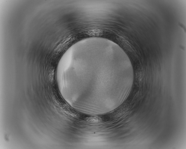 X0000101160652200807251112