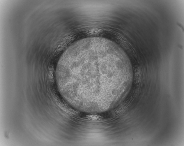 X0000101160654200807251112