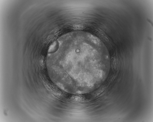 X0000101160655200807251112