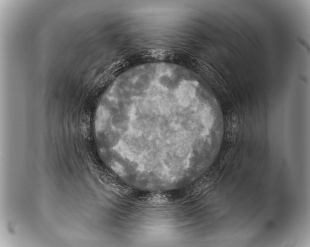 X0000101160656200807251112