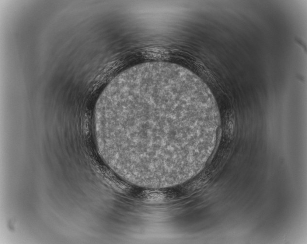 X0000101160658200807251112