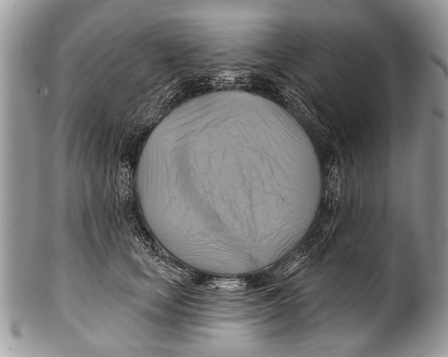 X0000101160659200807251112