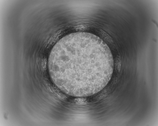 X0000101160660200807251112
