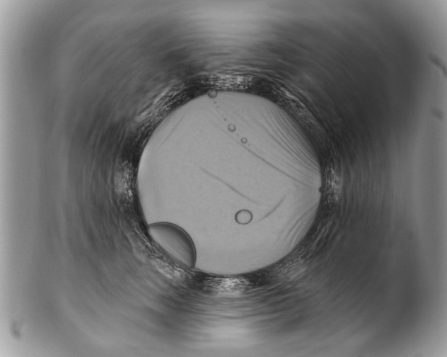 X0000101160663200807251112