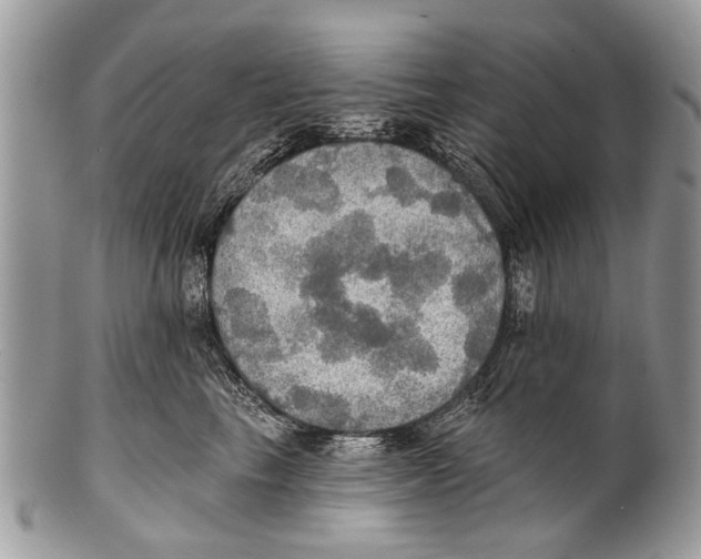 X0000101160665200807251112
