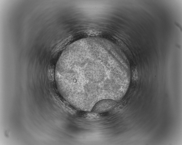 X0000101160666200807251112