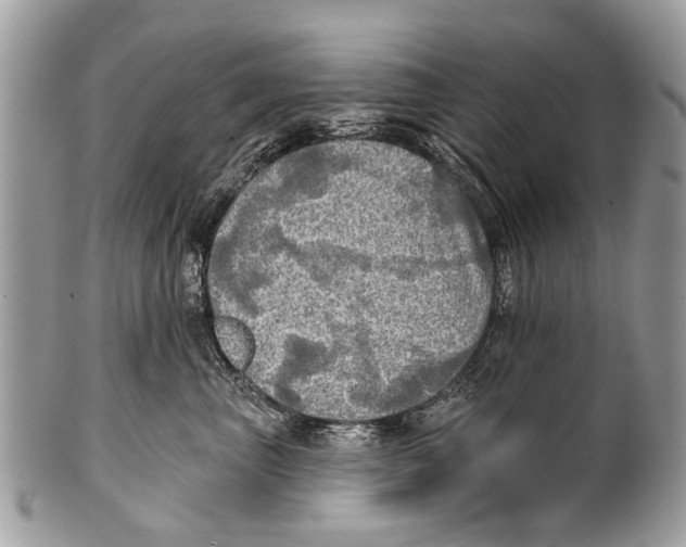 X0000101160667200807251112