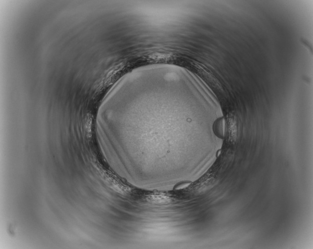 X0000101160668200807251112
