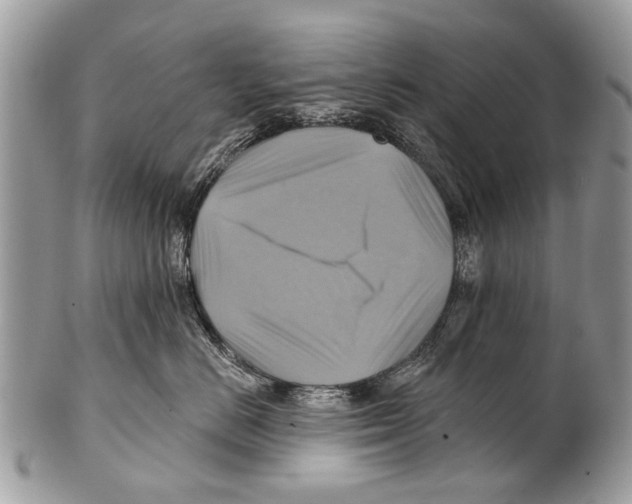 X0000101160670200807251112