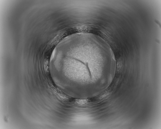 X0000101160671200807251112