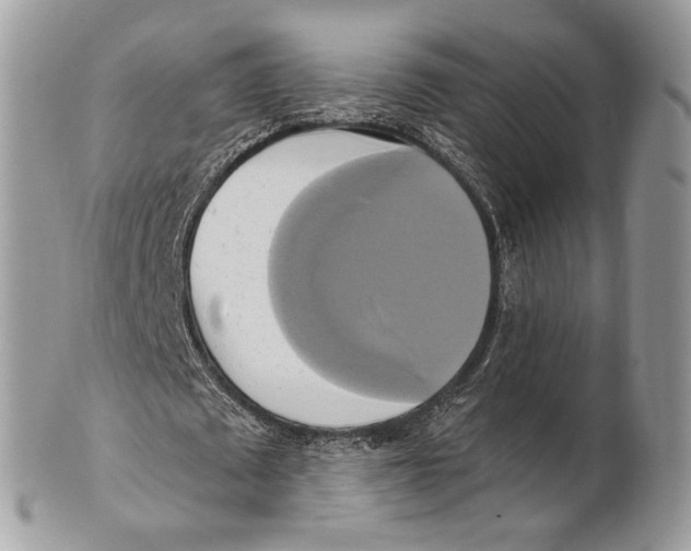 X0000101160673200807251111