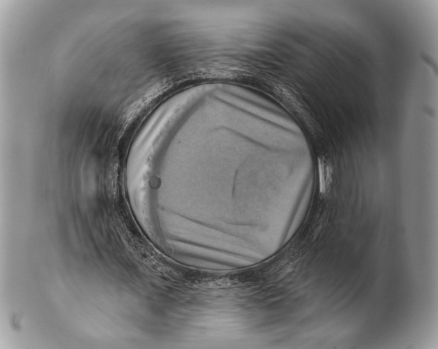 X0000101160675200807251111