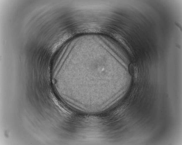 X0000101160677200807251111