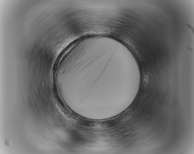 X0000101160678200807251111