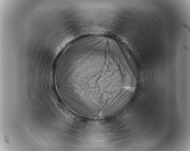 X0000101160679200807251111