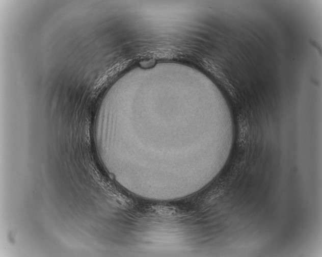 X0000101160681200807251111