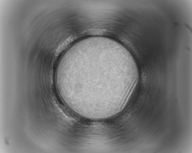 X0000101160682200807251111