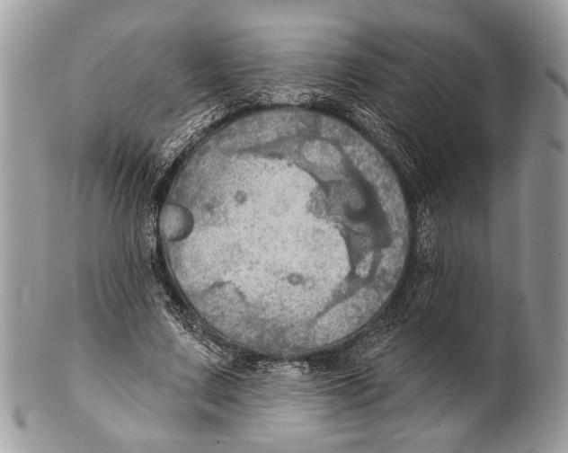 X0000101160683200807251111