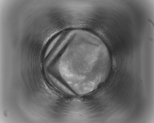 X0000101160684200807251111
